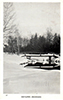 Miscellaneous - 1940's: Irontone Springs
